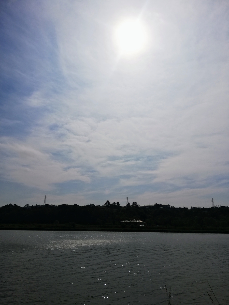 f:id:gossy54200:20200829184741j:plain