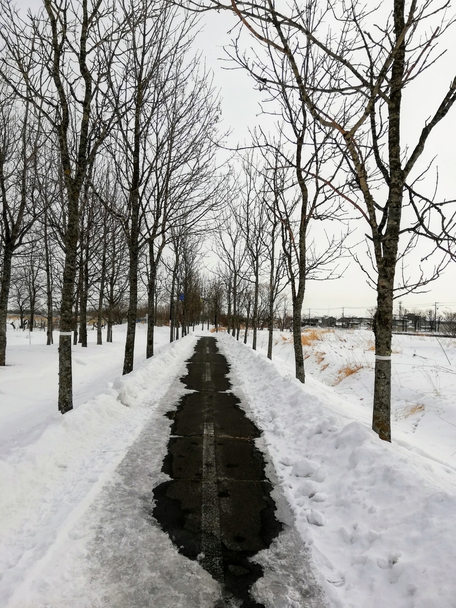 f:id:gossy54200:20210214160812j:plain