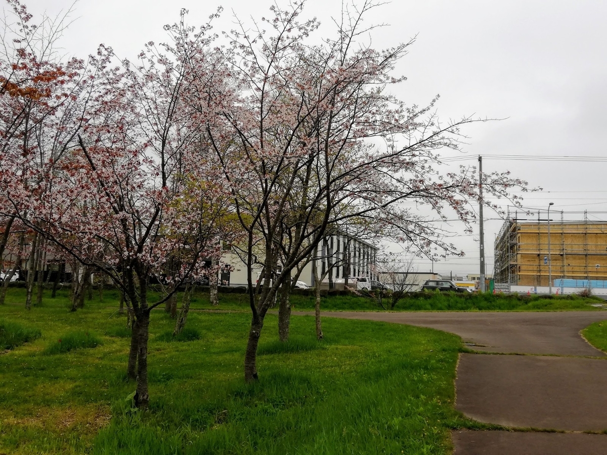 f:id:gossy54200:20210516200042j:plain