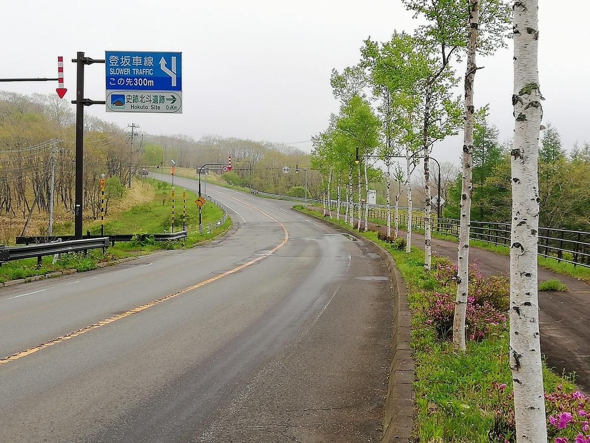 f:id:gossy54200:20210530195817j:plain