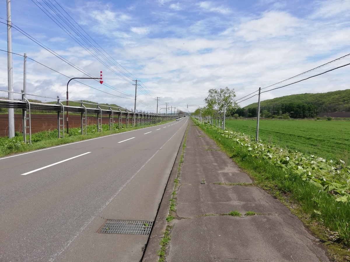 f:id:gossy54200:20210530200259j:plain