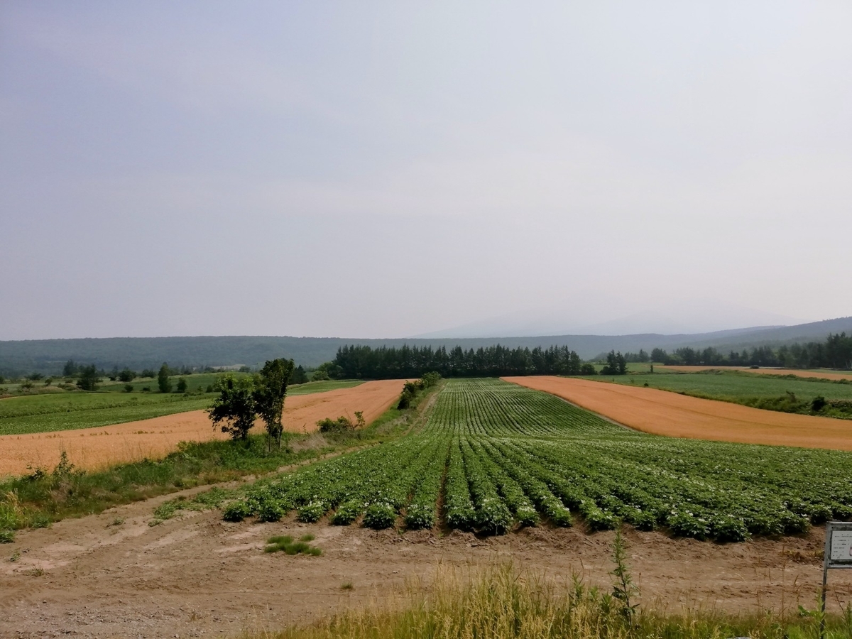 f:id:gossy54200:20210730211312j:plain