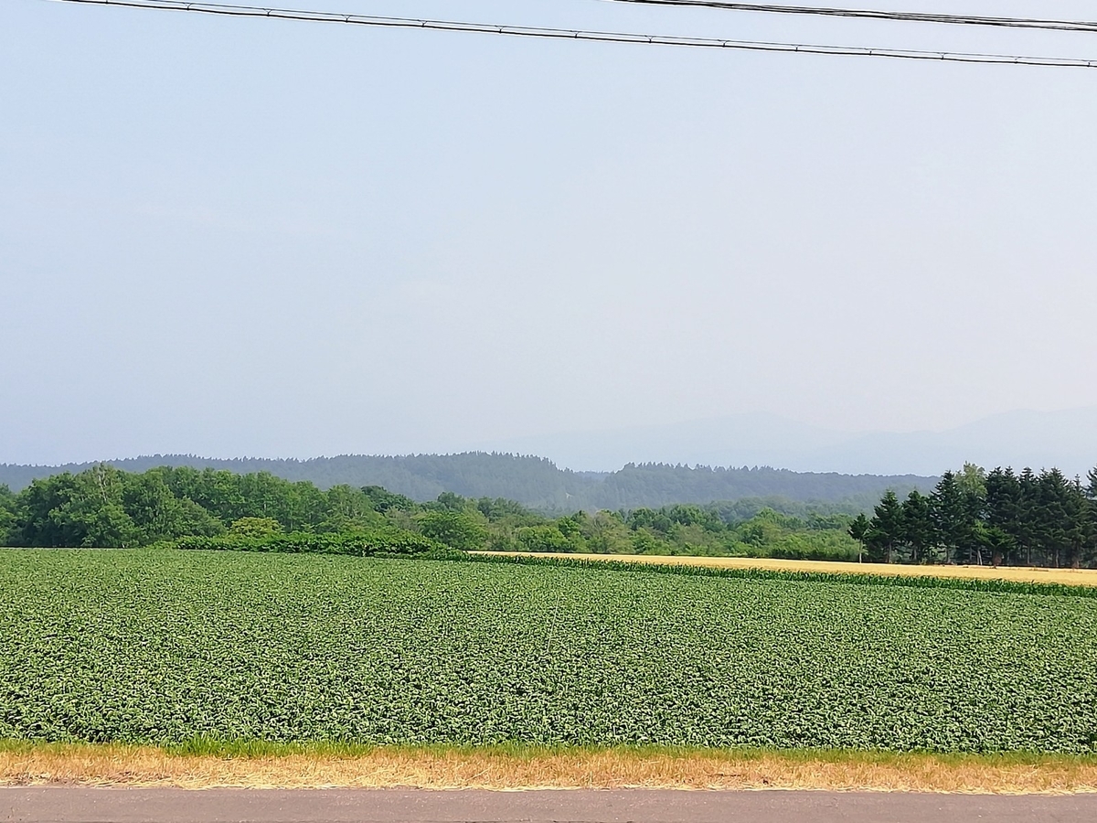 f:id:gossy54200:20210730213842j:plain