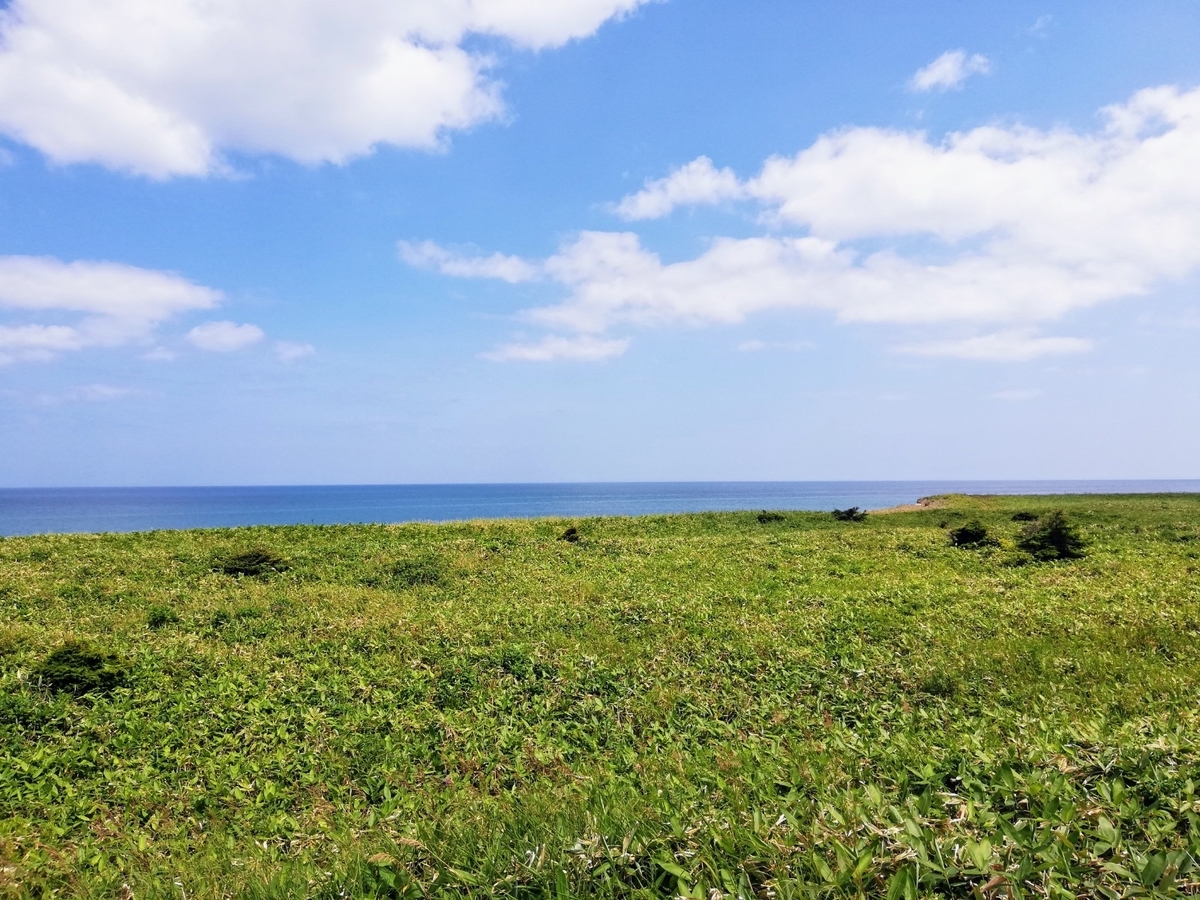 f:id:gossy54200:20210805191429j:plain