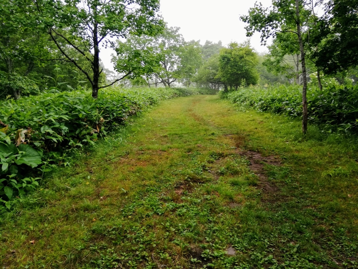 f:id:gossy54200:20210808190141j:plain