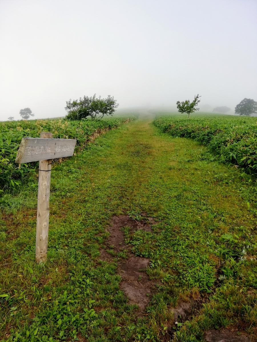 f:id:gossy54200:20210808190329j:plain