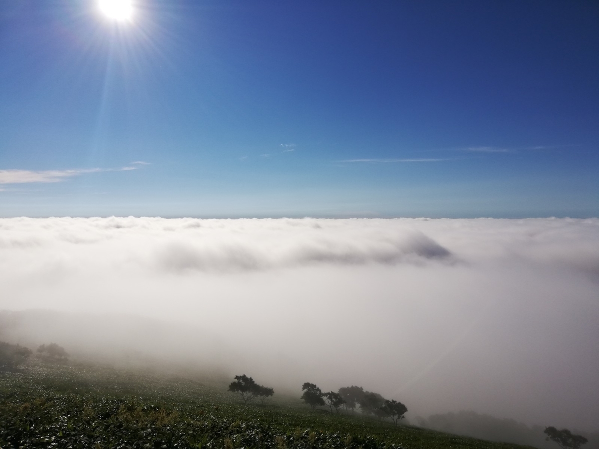 f:id:gossy54200:20210808191207j:plain