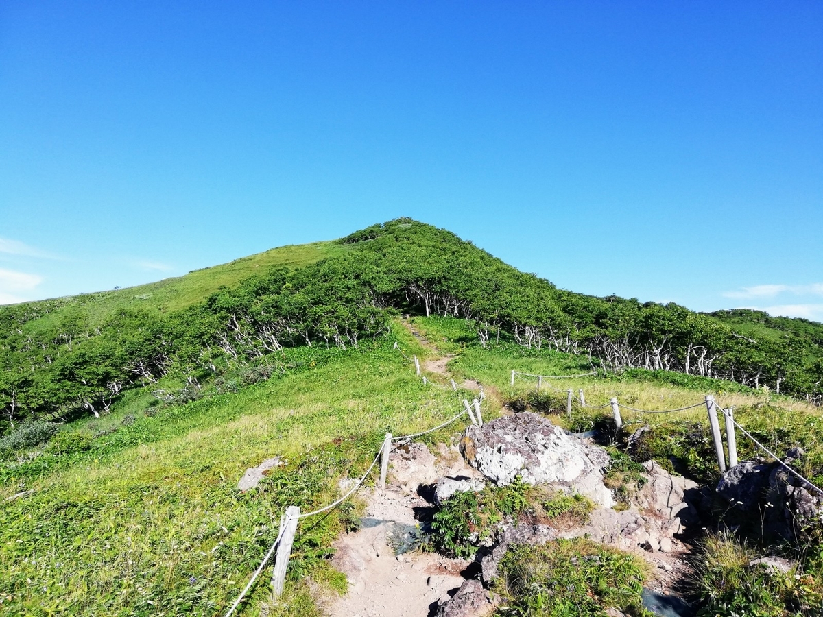 f:id:gossy54200:20210808191405j:plain