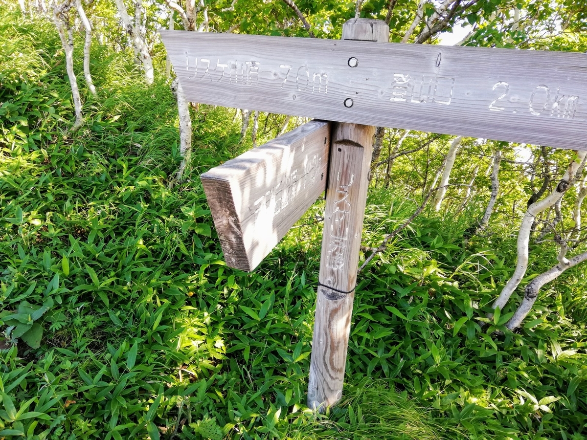 f:id:gossy54200:20210808191607j:plain