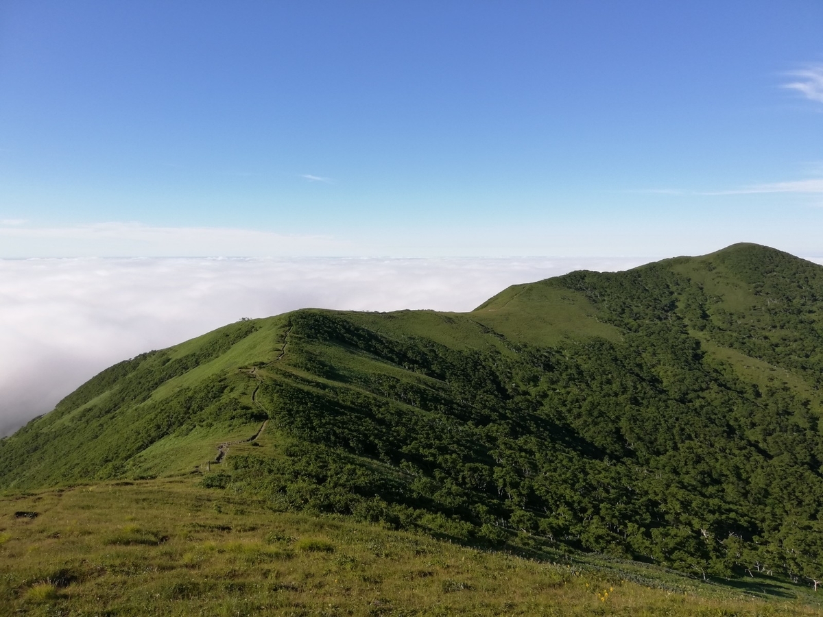 f:id:gossy54200:20210808192331j:plain