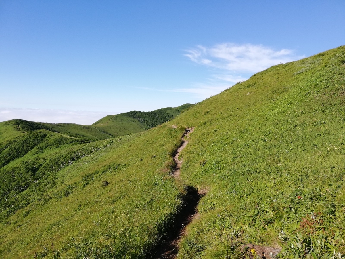 f:id:gossy54200:20210808192505j:plain