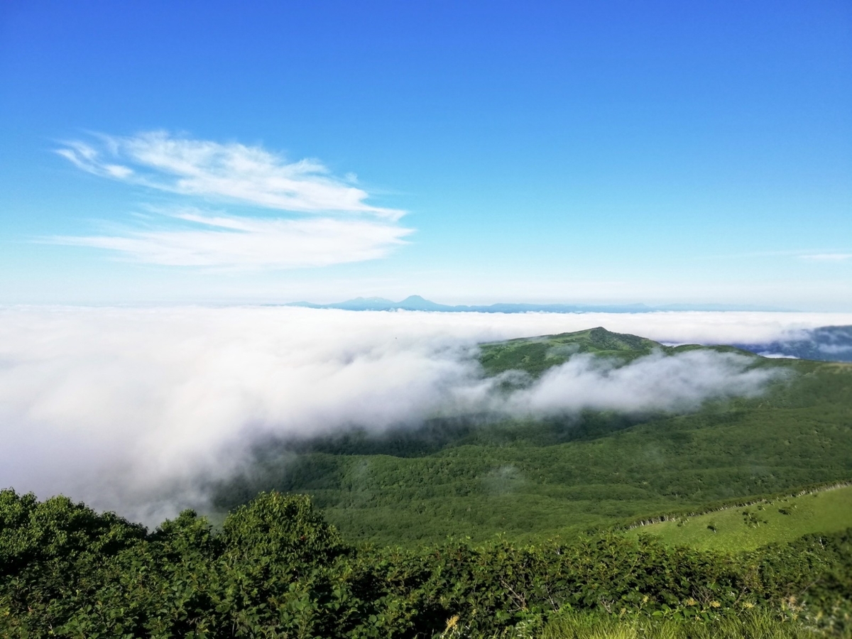 f:id:gossy54200:20210808193650j:plain