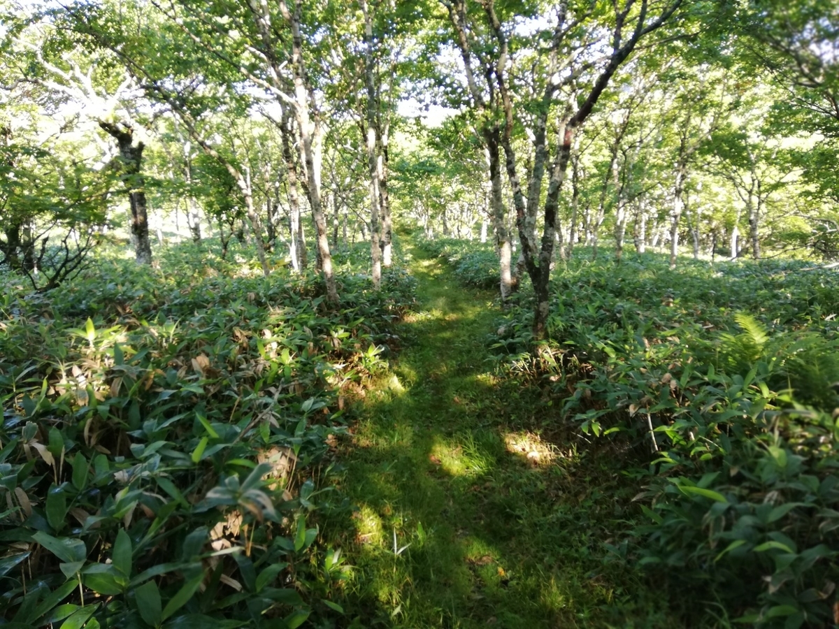 f:id:gossy54200:20210809160601j:plain