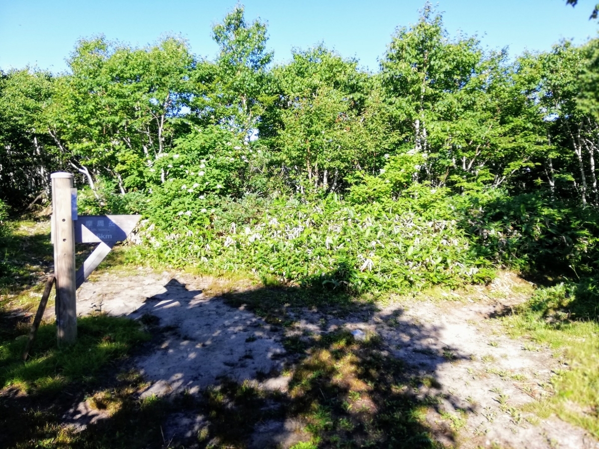 f:id:gossy54200:20210809160905j:plain