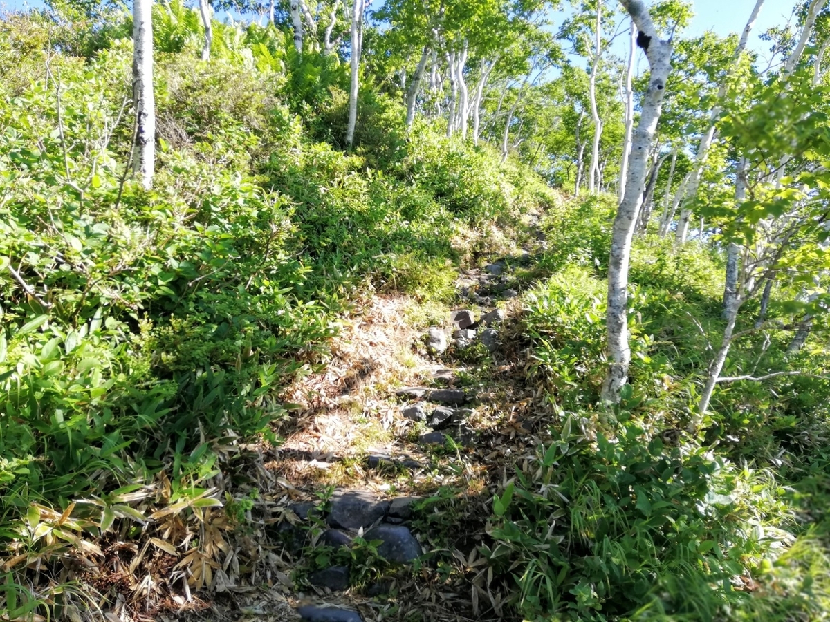 f:id:gossy54200:20210809161506j:plain