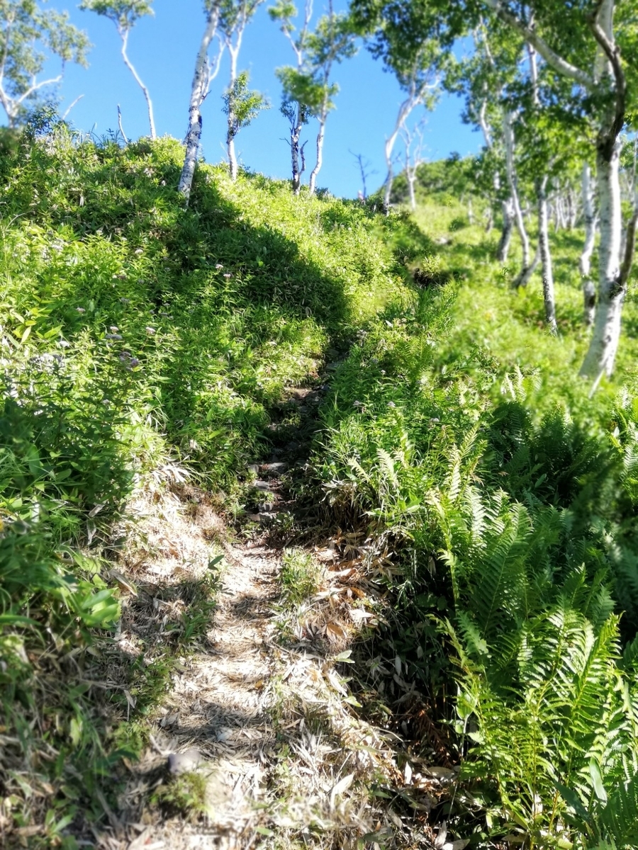 f:id:gossy54200:20210809161601j:plain