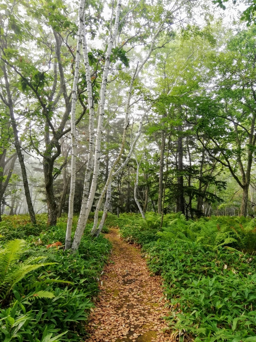 f:id:gossy54200:20210821202721j:plain