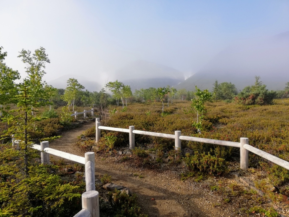 f:id:gossy54200:20210821202910j:plain