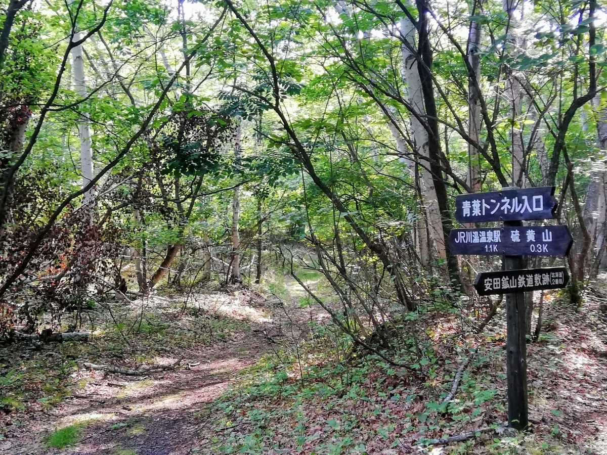 f:id:gossy54200:20210821205025j:plain