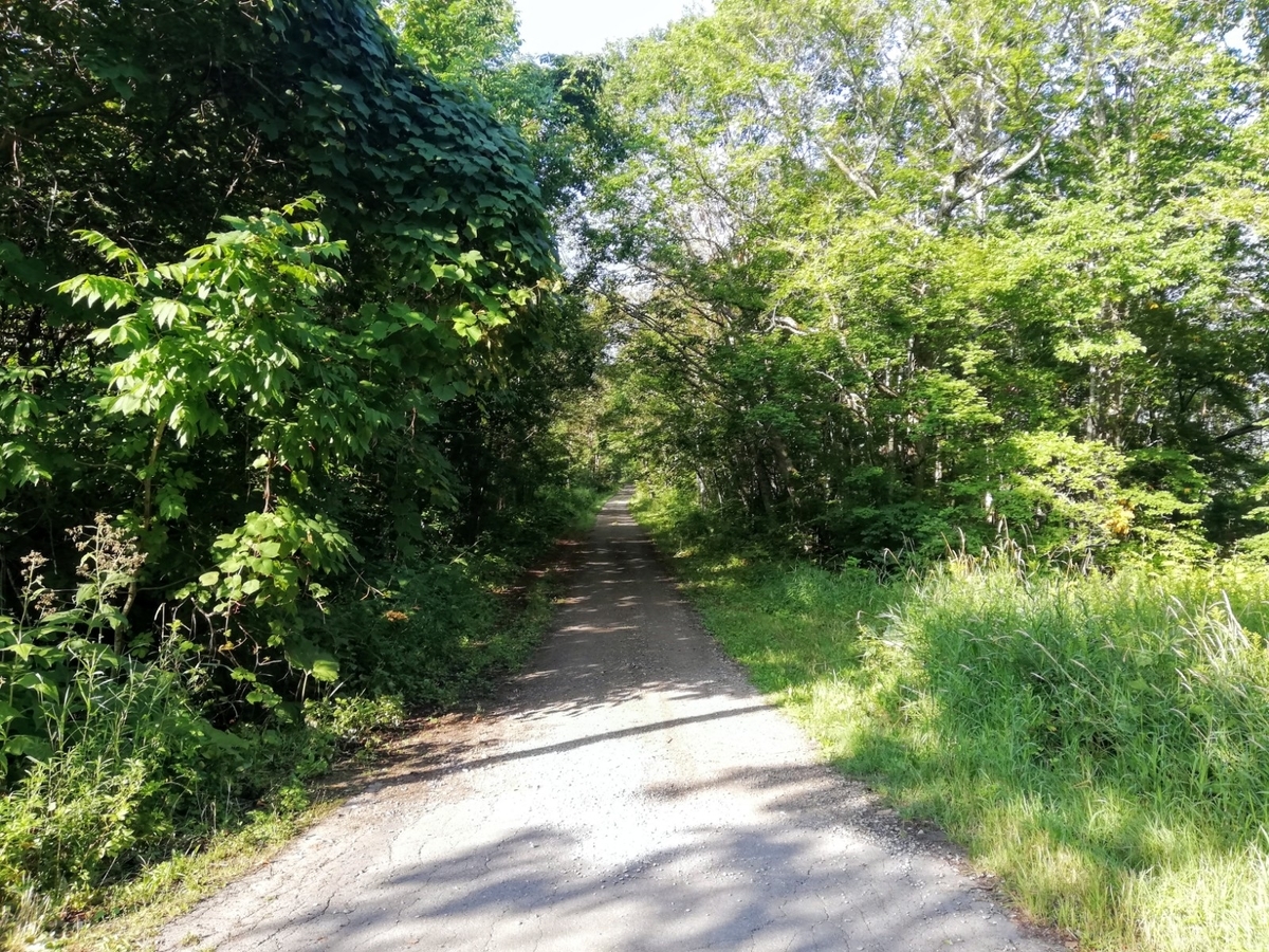 f:id:gossy54200:20210821205544j:plain