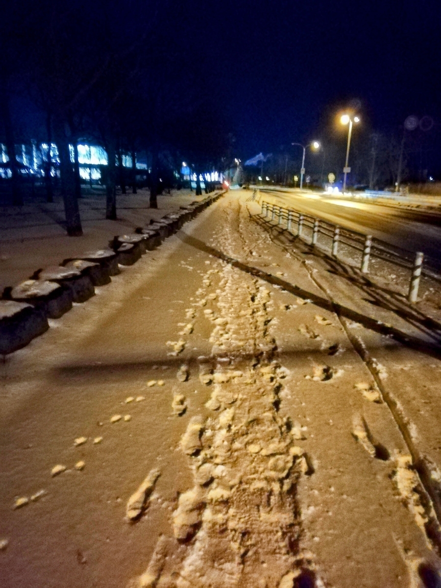 f:id:gossy54200:20211222204852j:plain