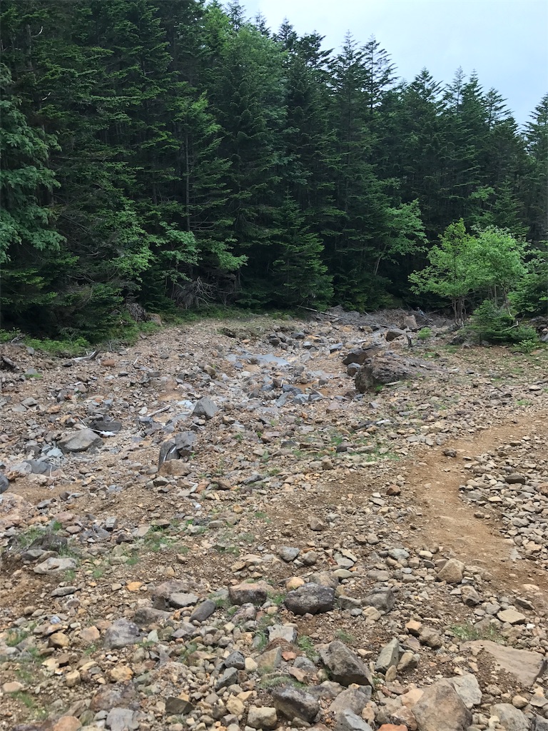 f:id:gossyan510:20170717195148j:image