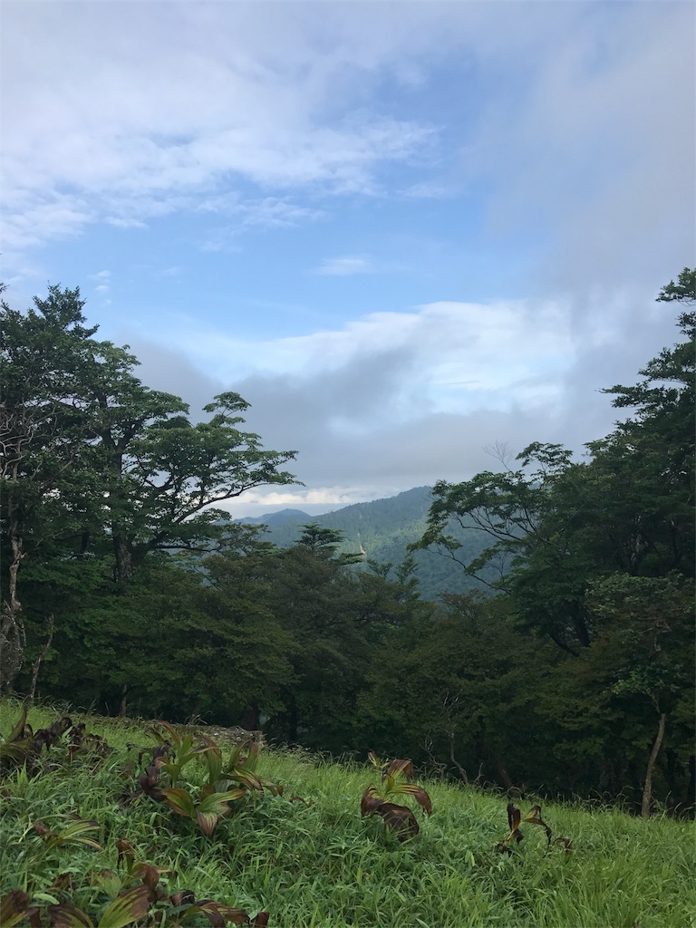 f:id:gossyan510:20170729115918j:image