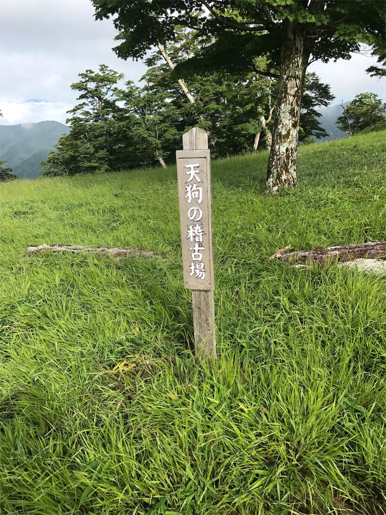 f:id:gossyan510:20170729120034j:image