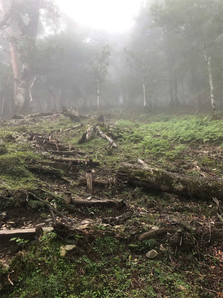 f:id:gossyan510:20170729120738j:image