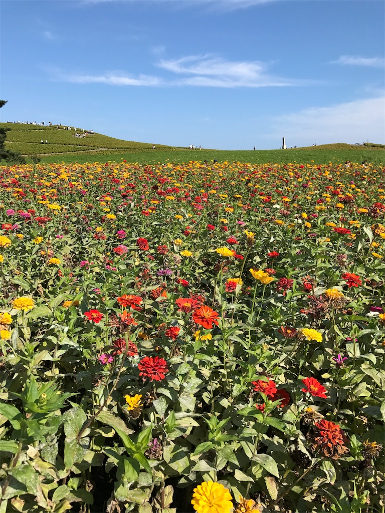 f:id:gossyan510:20170924184633j:image