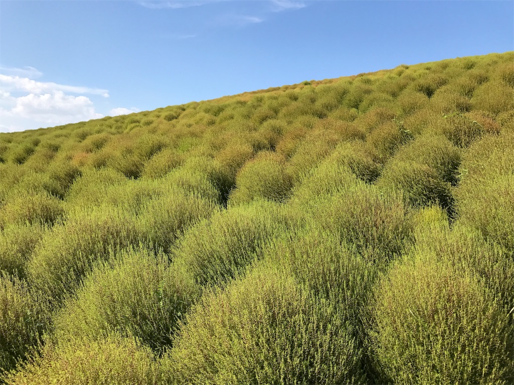 f:id:gossyan510:20170924184725j:image