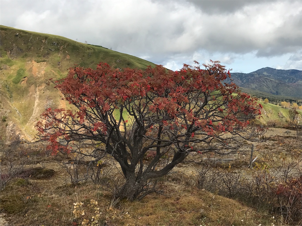 f:id:gossyan510:20171008203103j:image