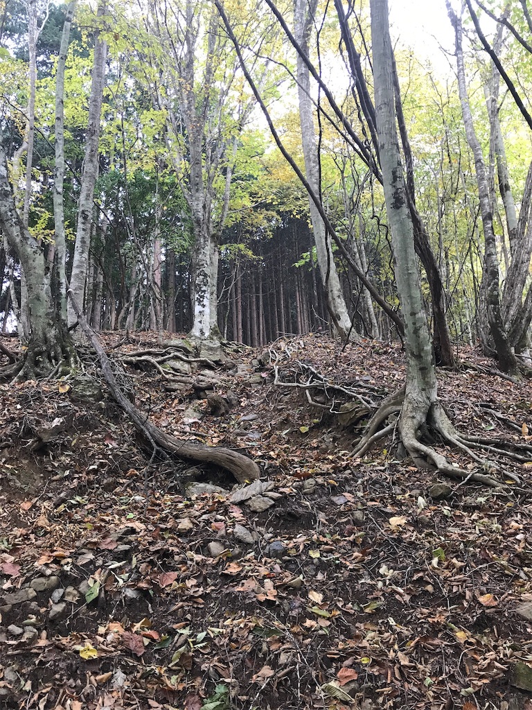 f:id:gossyan510:20171029025211j:image