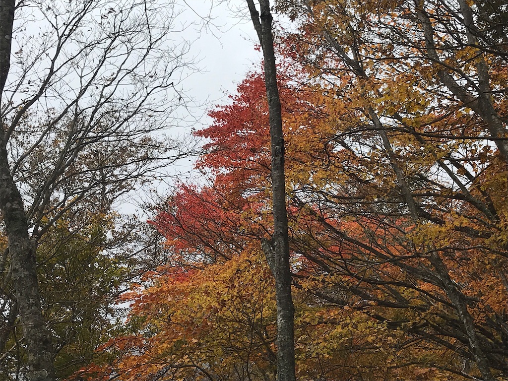 f:id:gossyan510:20171029030027j:image