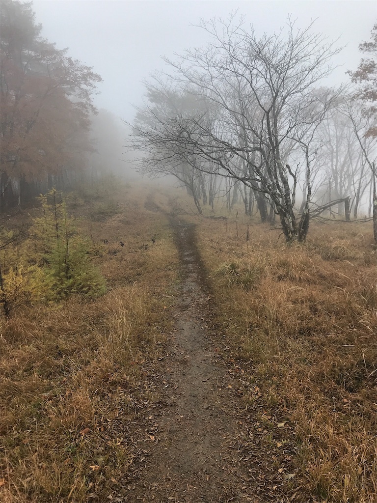 f:id:gossyan510:20171029030806j:image