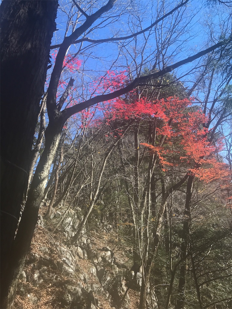 f:id:gossyan510:20171120035431j:image