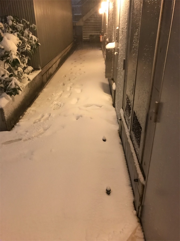 f:id:gossyan510:20180122190704j:image