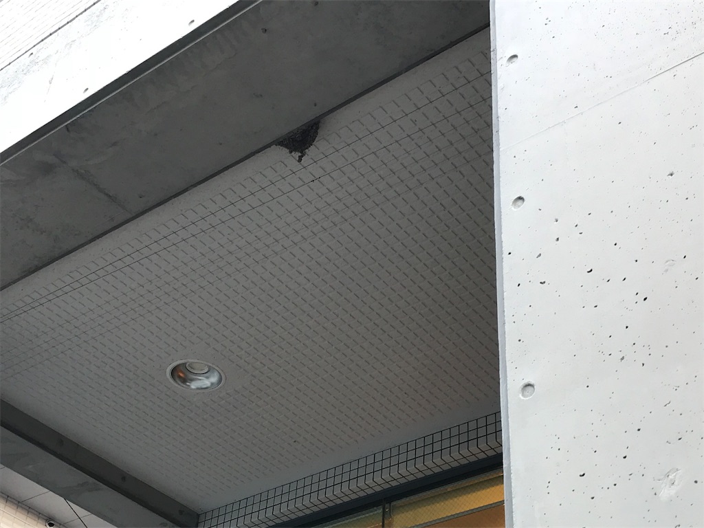 f:id:gossyan510:20180504185345j:image