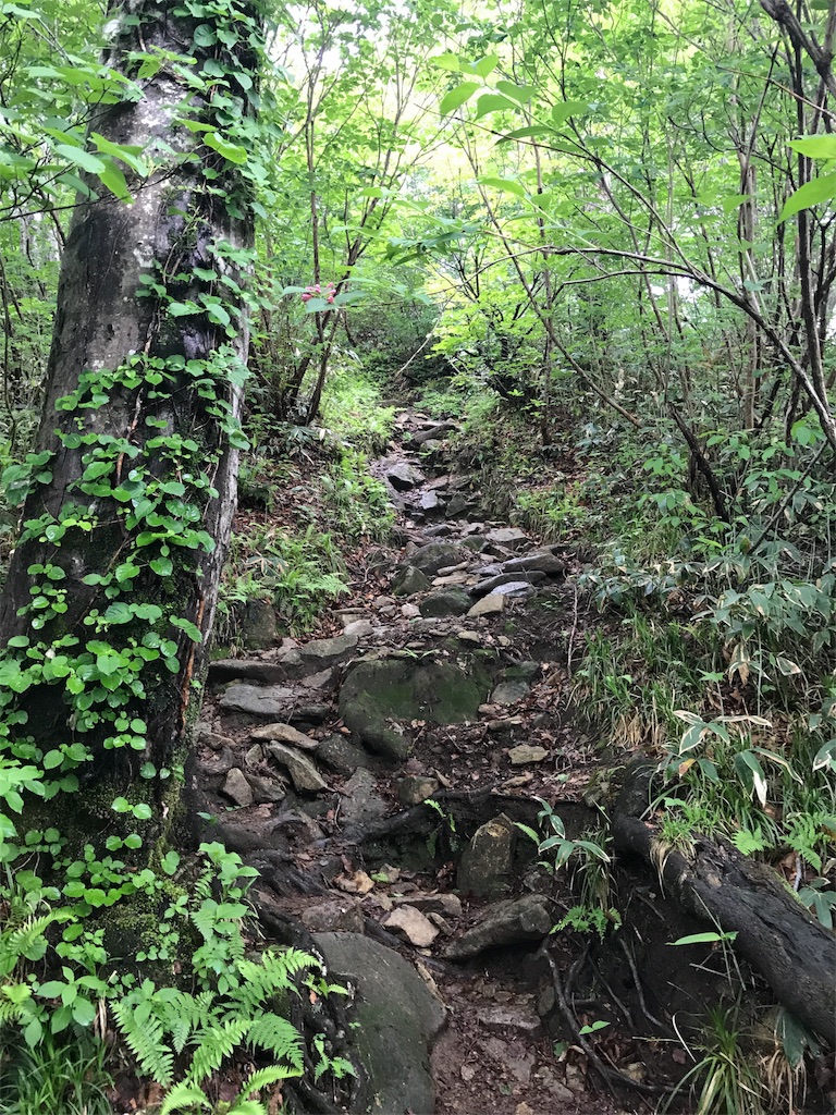 f:id:gossyan510:20180618000849j:image