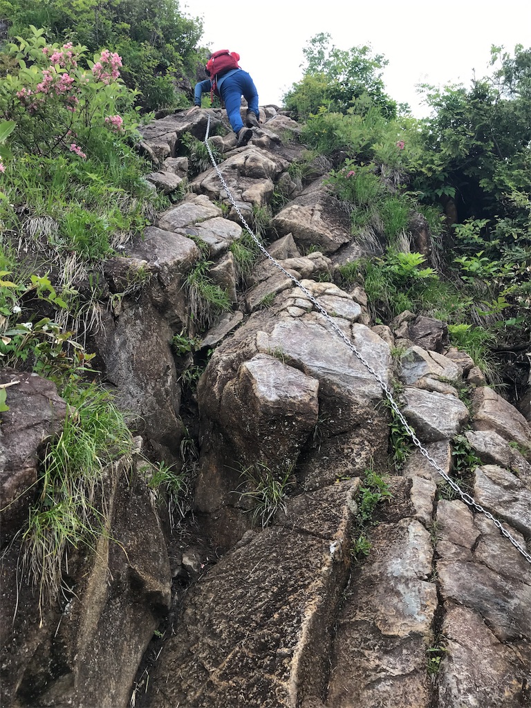 f:id:gossyan510:20180618033129j:image