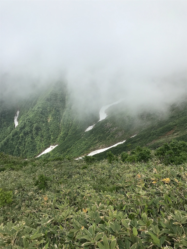 f:id:gossyan510:20180618033315j:image