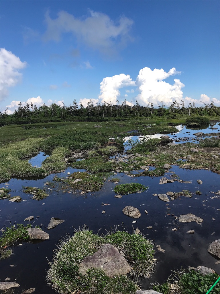 f:id:gossyan510:20180715204351j:image