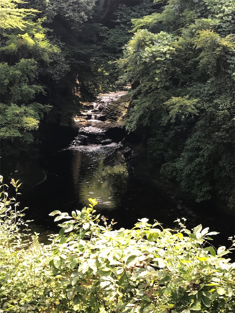f:id:gossyan510:20180721180938j:image