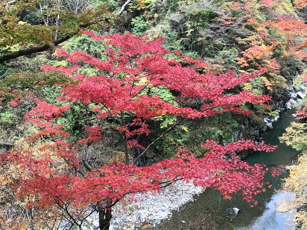 f:id:gossyan510:20181110211158j:image