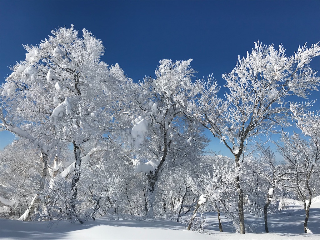 f:id:gossyan510:20190105011453j:image