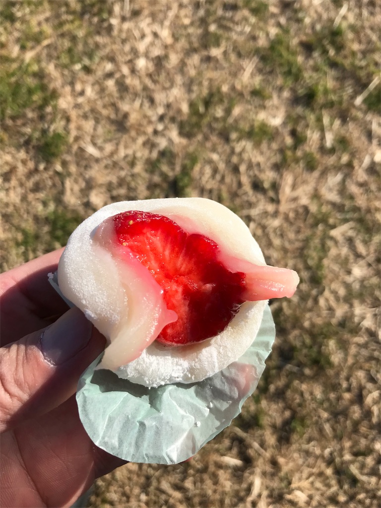 f:id:gossyan510:20190119173509j:image