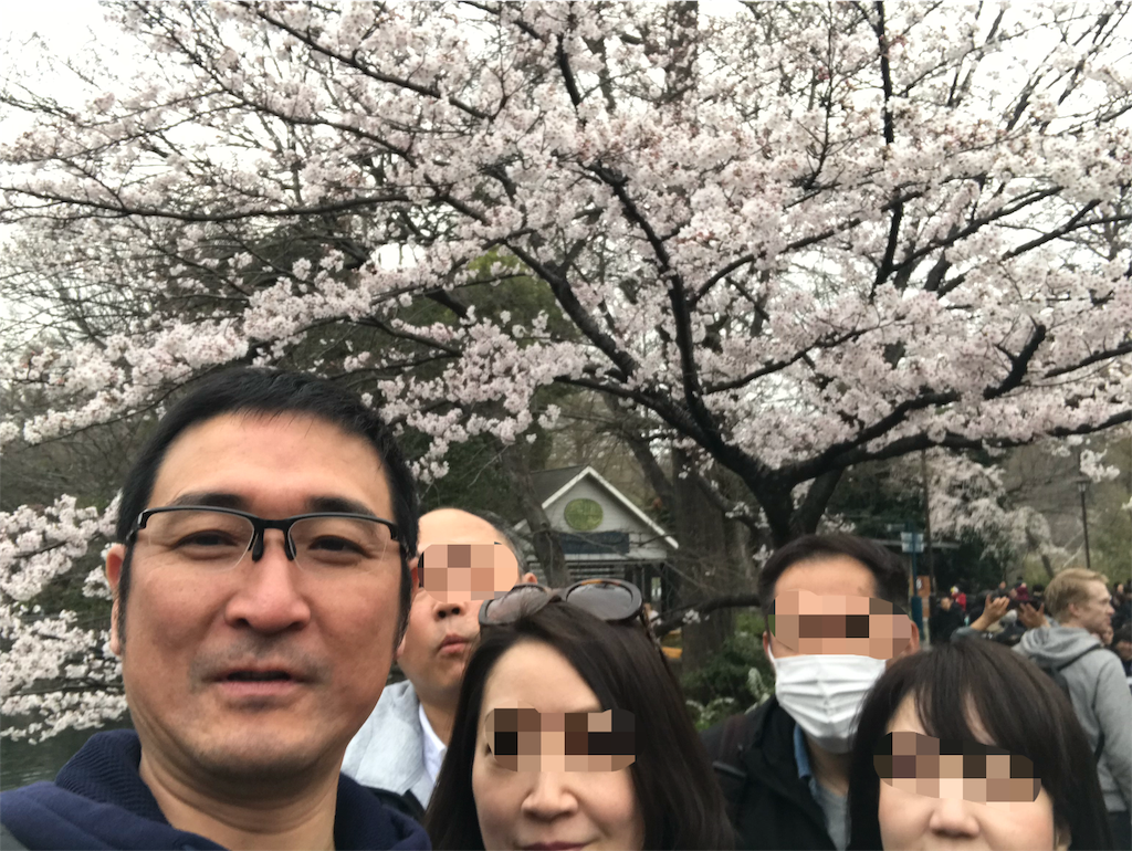 f:id:gossyan510:20190331152818p:image