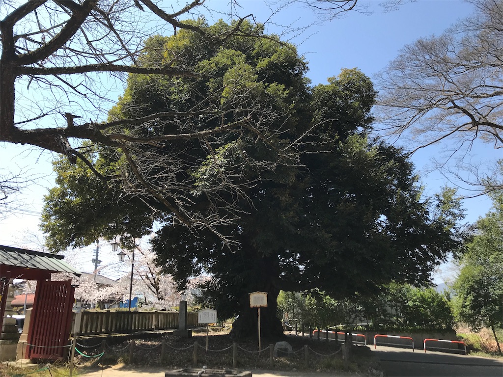 f:id:gossyan510:20190406214550j:image