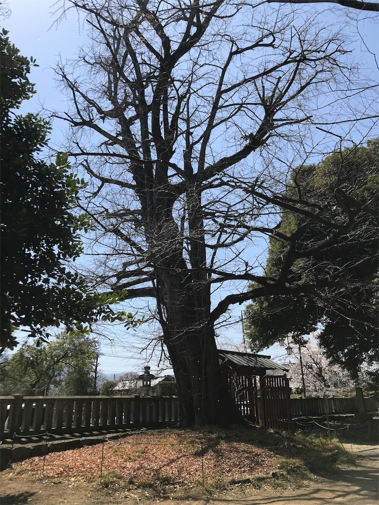 f:id:gossyan510:20190406214625j:image