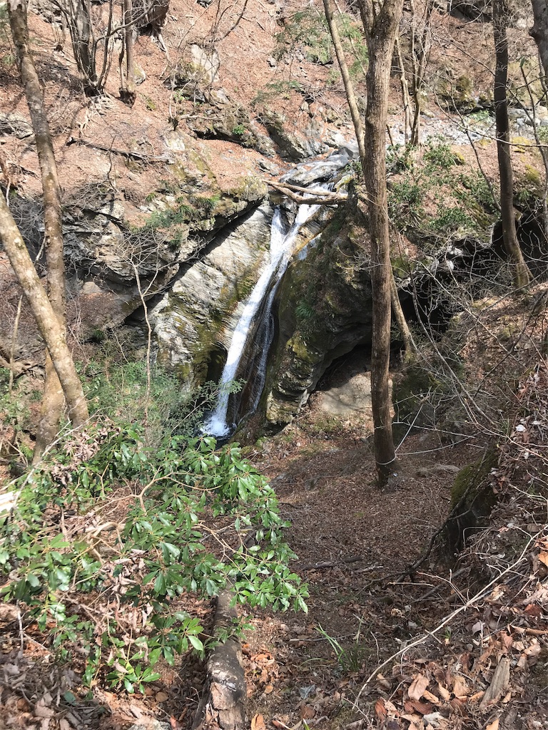 f:id:gossyan510:20190410201428j:image